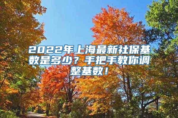 2022年上海最新社保基数是多少？手把手教你调整基数！