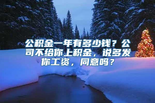 公积金一年有多少钱？公司不给你上积金，说多发你工资，同意吗？