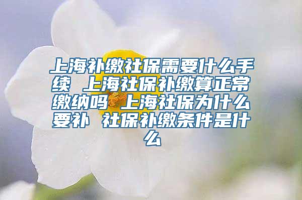 上海补缴社保需要什么手续 上海社保补缴算正常缴纳吗 上海社保为什么要补 社保补缴条件是什么