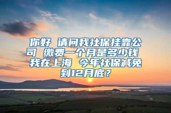 你好 请问我社保挂靠公司 缴费一个月是多少钱 我在上海 今年社保减免到12月底？