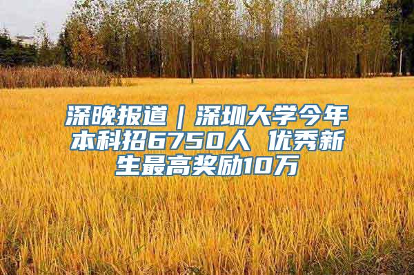 深晚报道｜深圳大学今年本科招6750人 优秀新生最高奖励10万