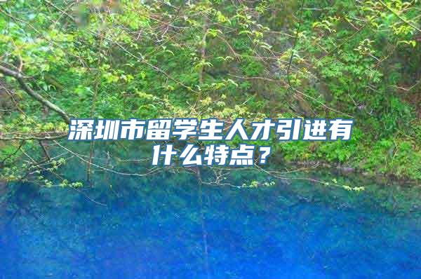 深圳市留学生人才引进有什么特点？