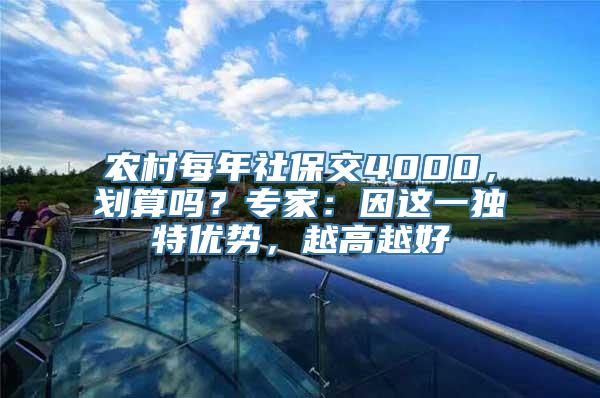 农村每年社保交4000，划算吗？专家：因这一独特优势，越高越好