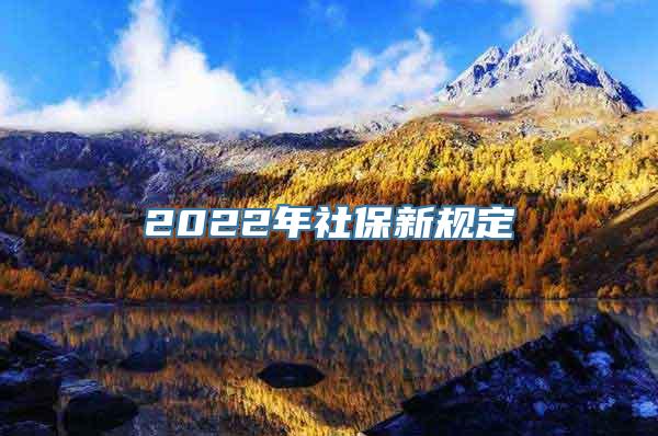 2022年社保新规定