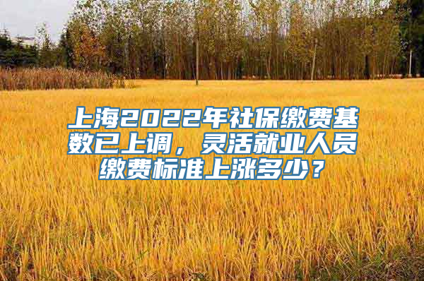 上海2022年社保缴费基数已上调，灵活就业人员缴费标准上涨多少？