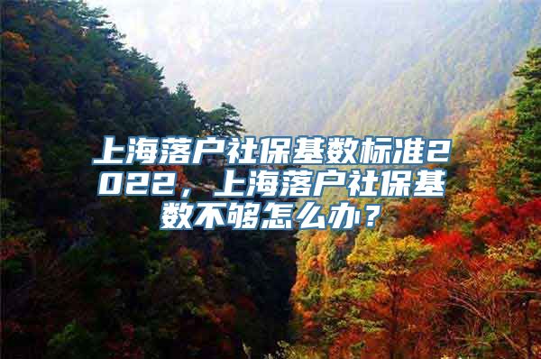 上海落户社保基数标准2022，上海落户社保基数不够怎么办？