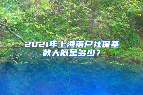 2021年上海落户社保基数大概是多少？