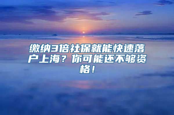 缴纳3倍社保就能快速落户上海？你可能还不够资格！