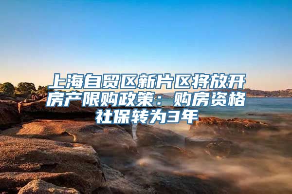 上海自贸区新片区将放开房产限购政策：购房资格社保转为3年