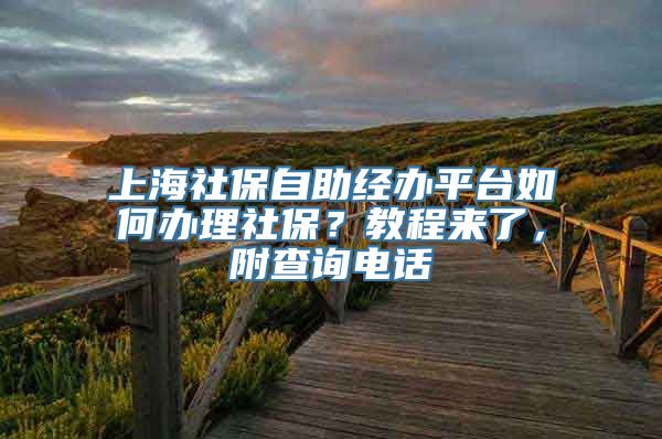 上海社保自助经办平台如何办理社保？教程来了，附查询电话