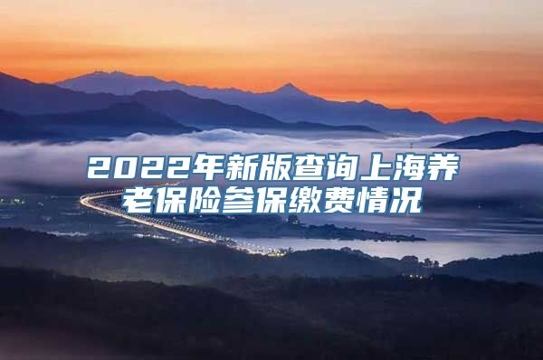 2022年新版查询上海养老保险参保缴费情况