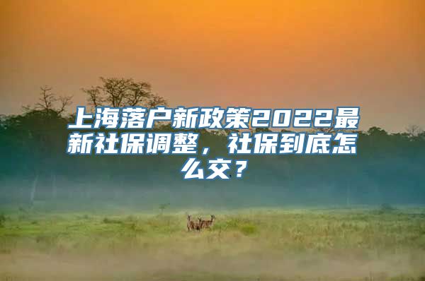 上海落户新政策2022最新社保调整，社保到底怎么交？