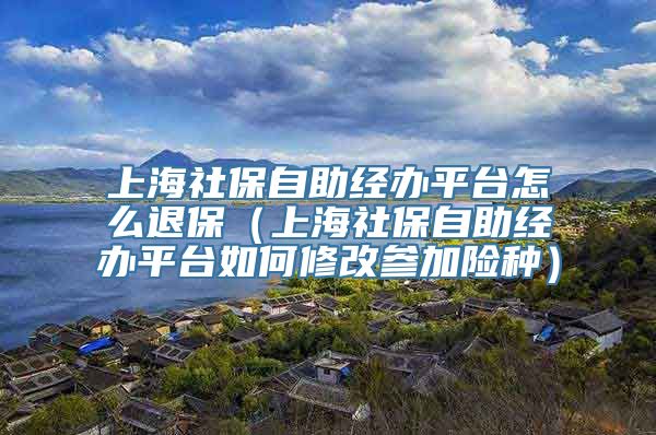 上海社保自助经办平台怎么退保（上海社保自助经办平台如何修改参加险种）