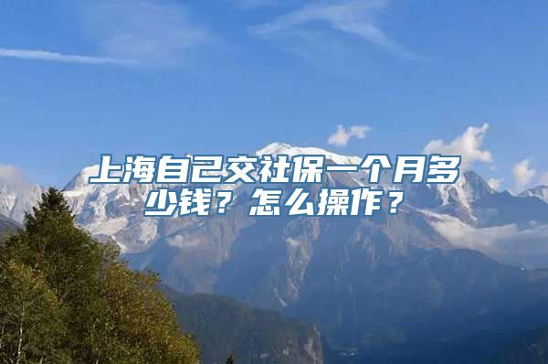 上海自己交社保一个月多少钱？怎么操作？