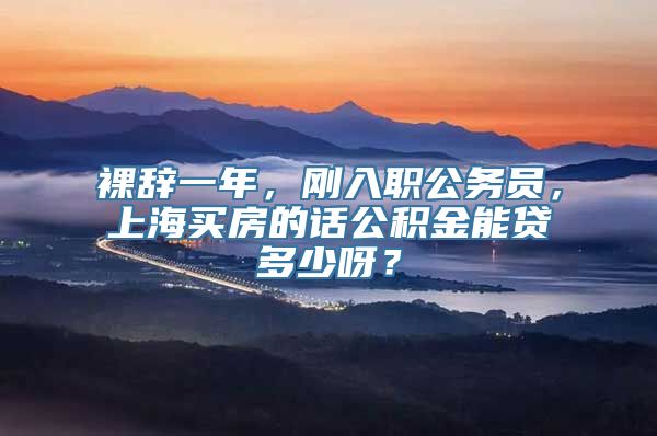 裸辞一年，刚入职公务员，上海买房的话公积金能贷多少呀？