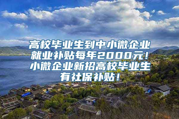 高校毕业生到中小微企业就业补贴每年2000元！小微企业新招高校毕业生有社保补贴！