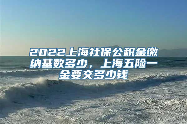 2022上海社保公积金缴纳基数多少，上海五险一金要交多少钱