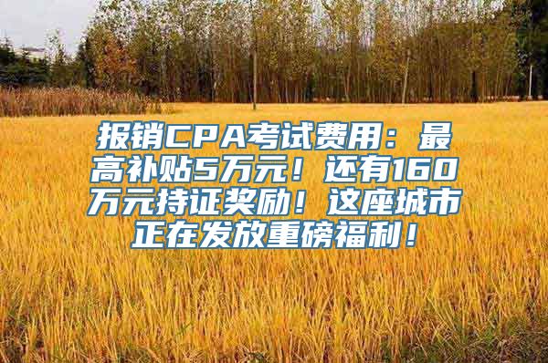 报销CPA考试费用：最高补贴5万元！还有160万元持证奖励！这座城市正在发放重磅福利！