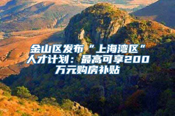 金山区发布“上海湾区”人才计划：最高可享200万元购房补贴