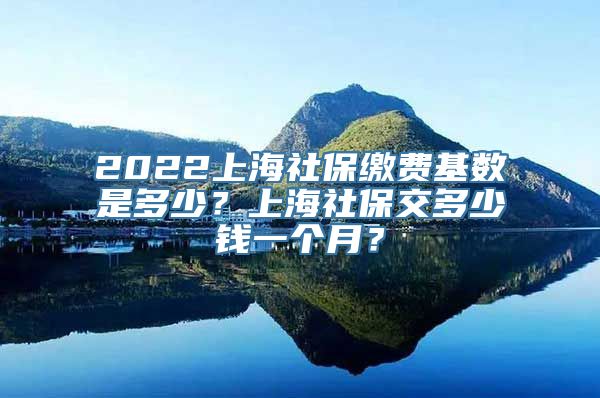 2022上海社保缴费基数是多少？上海社保交多少钱一个月？