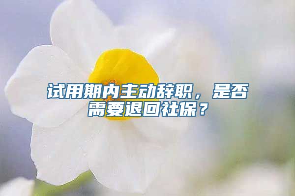 试用期内主动辞职，是否需要退回社保？