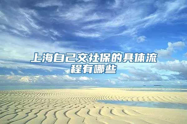 上海自己交社保的具体流程有哪些