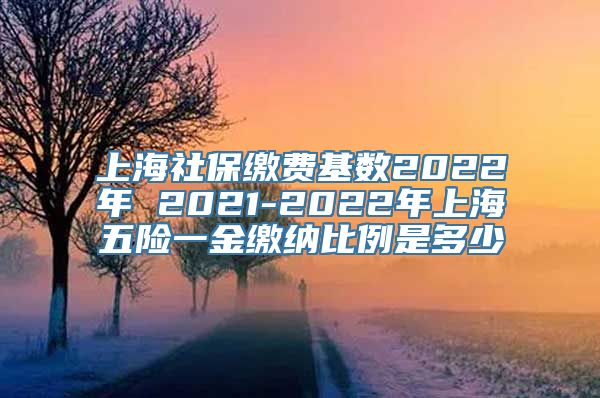 上海社保缴费基数2022年 2021-2022年上海五险一金缴纳比例是多少