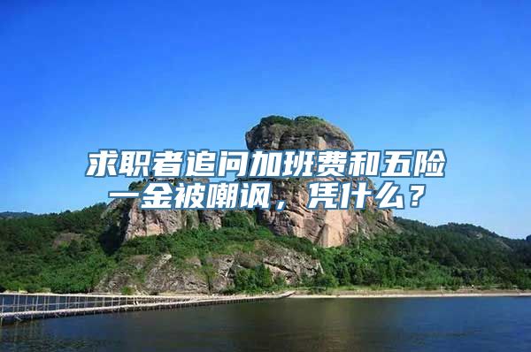 求职者追问加班费和五险一金被嘲讽，凭什么？