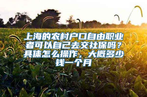 上海的农村户口自由职业者可以自己去交社保吗？具体怎么操作，大概多少钱一个月