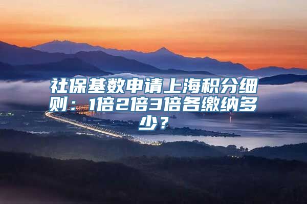 社保基数申请上海积分细则：1倍2倍3倍各缴纳多少？