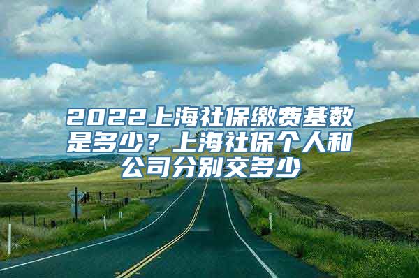 2022上海社保缴费基数是多少？上海社保个人和公司分别交多少