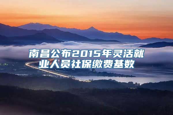 南昌公布2015年灵活就业人员社保缴费基数