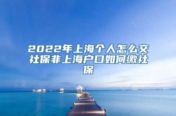 2022年上海个人怎么交社保非上海户口如何缴社保