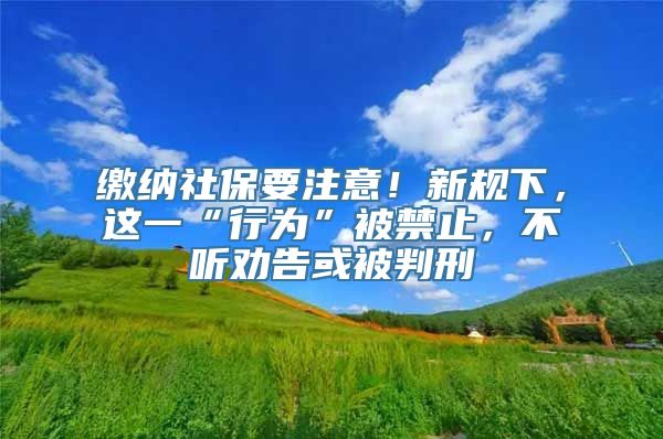 缴纳社保要注意！新规下，这一“行为”被禁止，不听劝告或被判刑