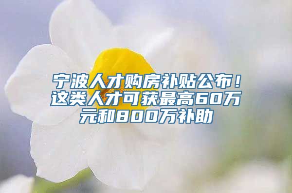 宁波人才购房补贴公布！这类人才可获最高60万元和800万补助