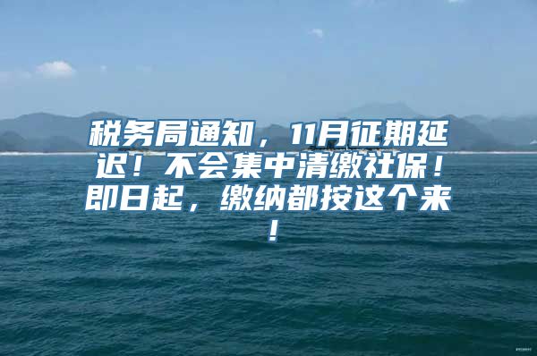 税务局通知，11月征期延迟！不会集中清缴社保！即日起，缴纳都按这个来！