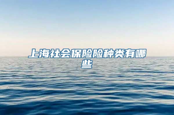 上海社会保险险种类有哪些