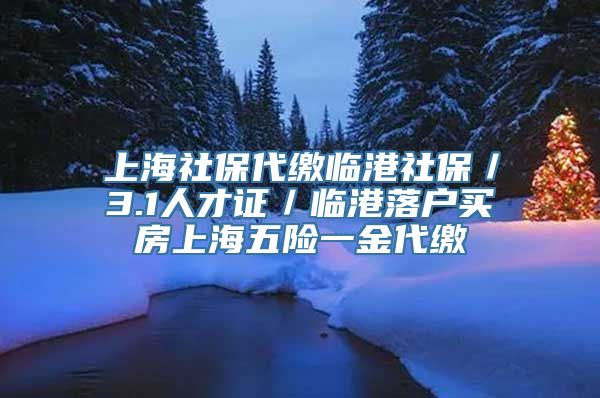 上海社保代缴临港社保／3.1人才证／临港落户买房上海五险一金代缴