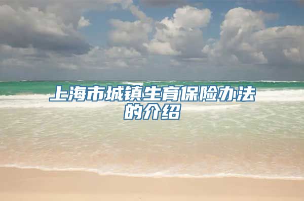 上海市城镇生育保险办法的介绍