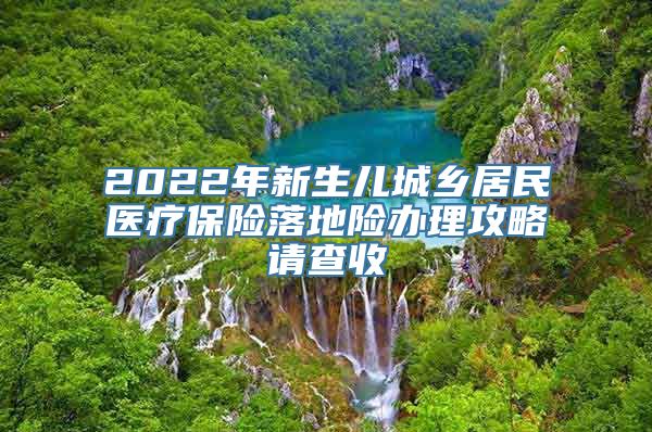 2022年新生儿城乡居民医疗保险落地险办理攻略请查收