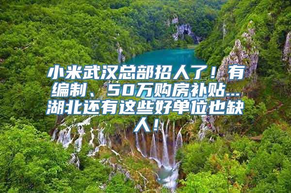 小米武汉总部招人了！有编制、50万购房补贴...湖北还有这些好单位也缺人！