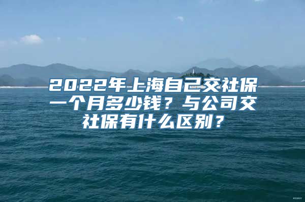 2022年上海自己交社保一个月多少钱？与公司交社保有什么区别？