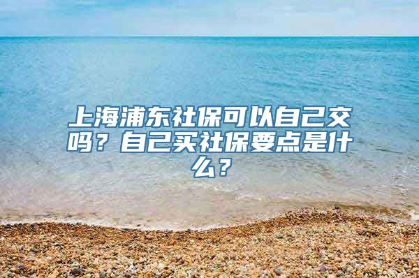 上海浦东社保可以自己交吗？自己买社保要点是什么？