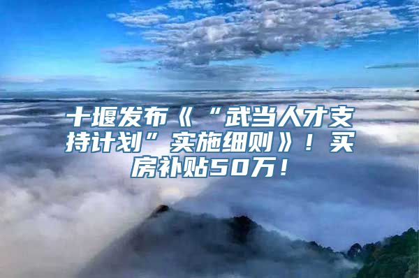 十堰发布《“武当人才支持计划”实施细则》！买房补贴50万！