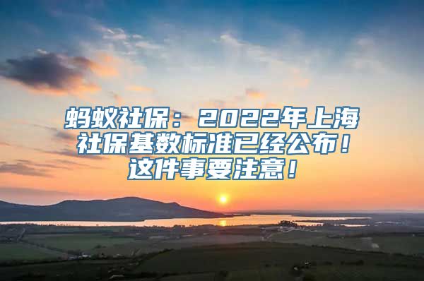 蚂蚁社保：2022年上海社保基数标准已经公布！这件事要注意！