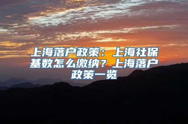 上海落户政策：上海社保基数怎么缴纳？上海落户政策一览