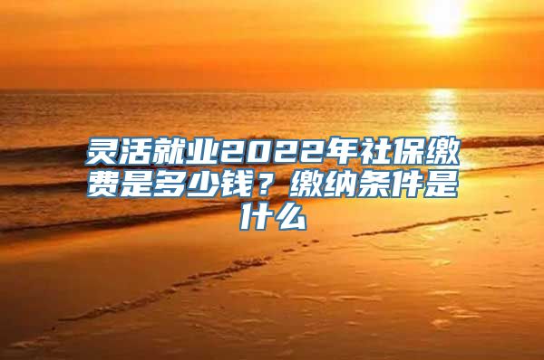 灵活就业2022年社保缴费是多少钱？缴纳条件是什么