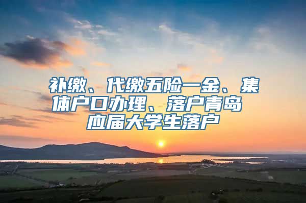 补缴、代缴五险一金、集体户口办理、落户青岛 应届大学生落户