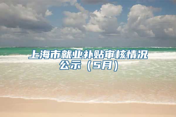 上海市就业补贴审核情况公示（5月）