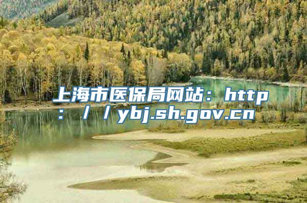 上海市医保局网站：http：／／ybj.sh.gov.cn